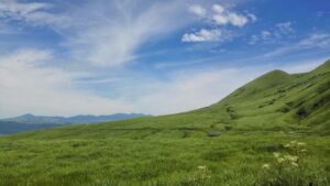 福岡で大型犬と一緒に泊まれるおすすめの温泉宿は？