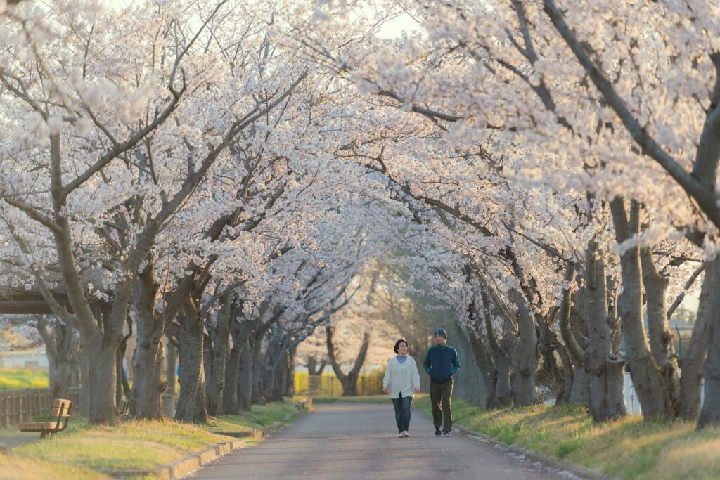 九州で犬連れにおすすめの散歩コースが近い温泉宿は？