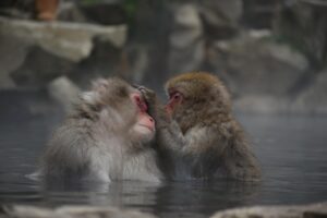 日田のペット可露天風呂付き客室がある旅館はどこ？