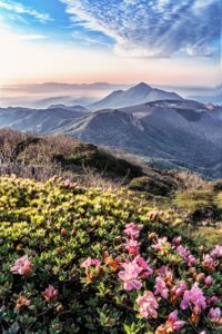 霧島温泉のペット可露天風呂付き客室がある旅館はどこ？